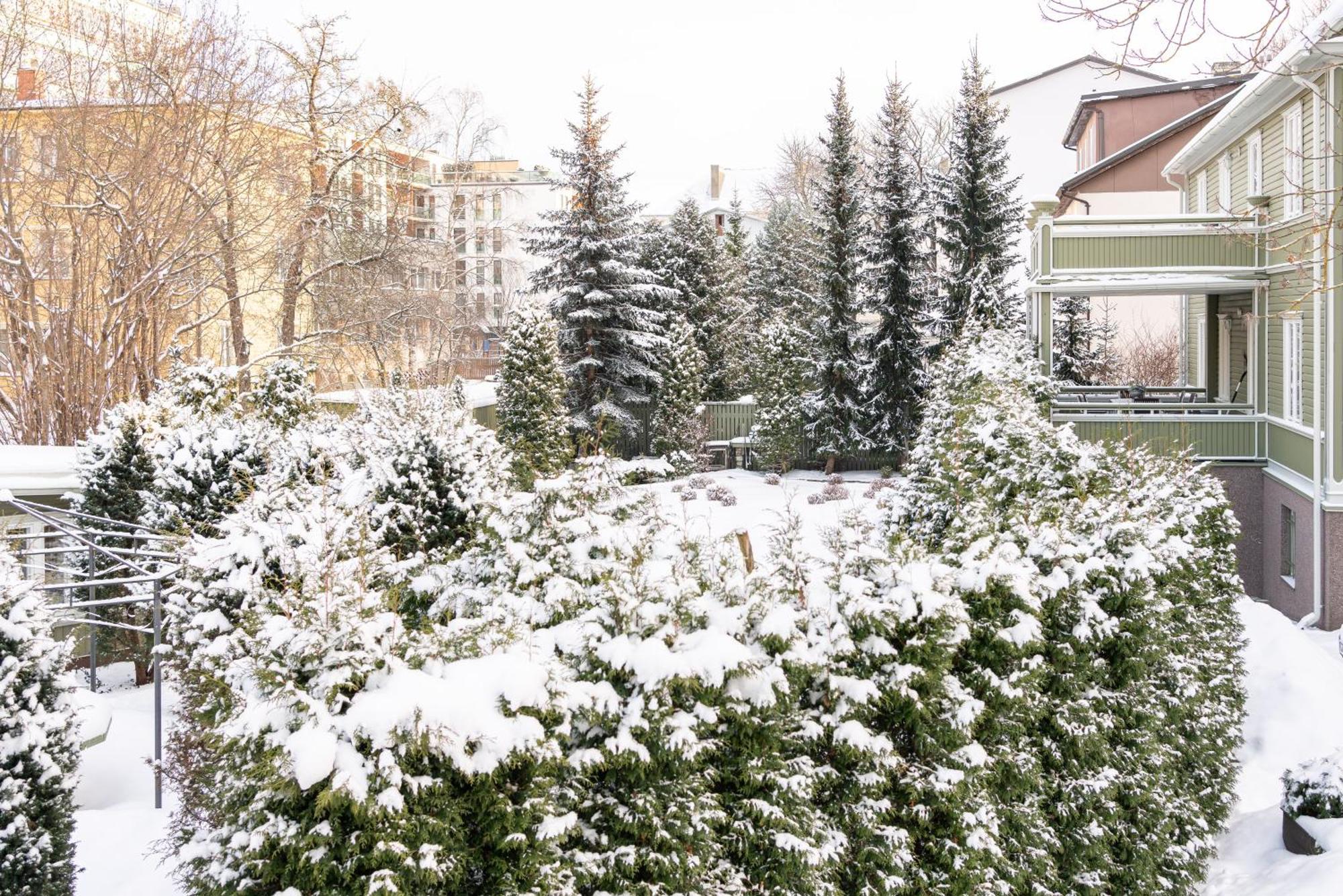 Videviku Villa Apartments Tallinn Exteriér fotografie